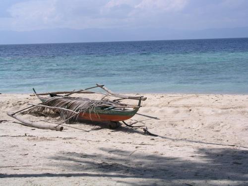 Dolphin House Resort Moalboal