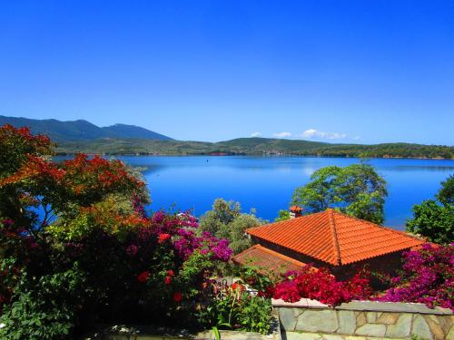  Marianthi Apartments in Milína