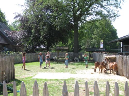 Zeumeren 6 pers. bungalow in Voorthuizen
