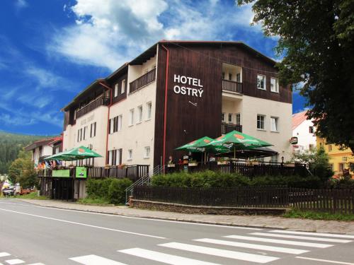 Apartmany hotelu Ostry in Zelezna Ruda Town Center
