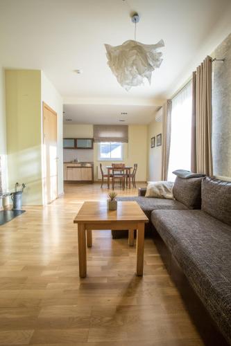 Apartments Ameda in Zverynas eldership
