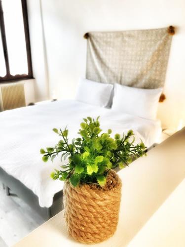 Al Belenzani Appartamento Room Type - Loft