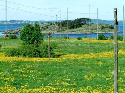 Hotell Jeløy Radio - image 8