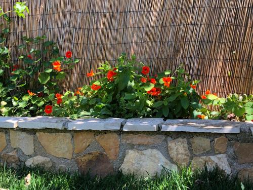  Petros Rooms & Apartments in Lixouri