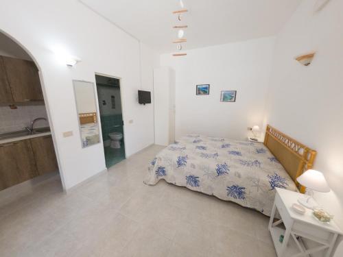  Il corallo rosso in Favignana