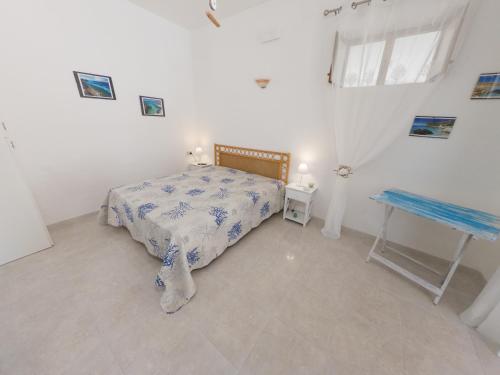  Il corallo rosso in Favignana