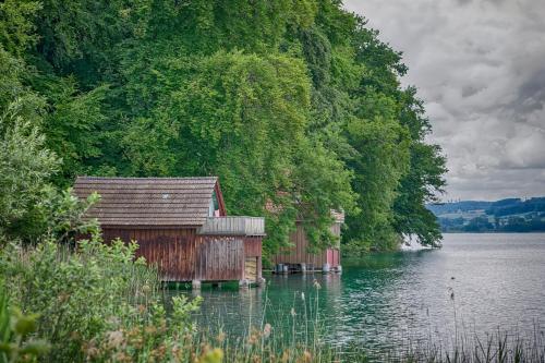 Belair Beinwil - B&B - image 5