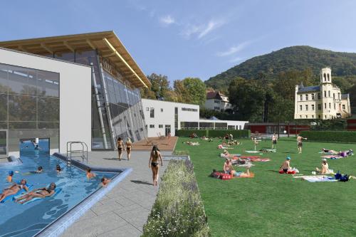 Villa Rosenburg - image 11