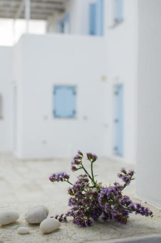 Magganari Moments 3 in Manganari