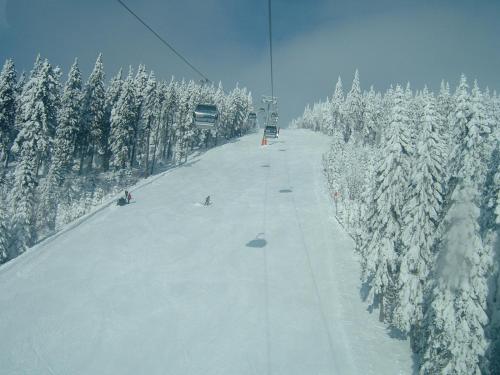 Chalupa Horní Lánov - image 5