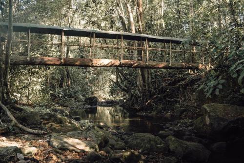 Hotel del Bosque - image 5