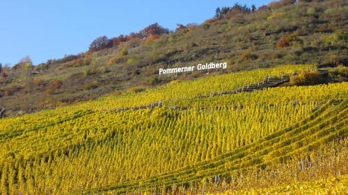 Ferienwohnung Im Bachtal