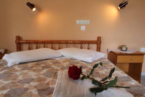 Frankis Apartments Agios Spyridonas Perithia 5
