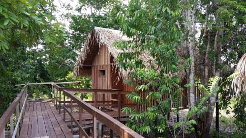 Amazonia Exxperience