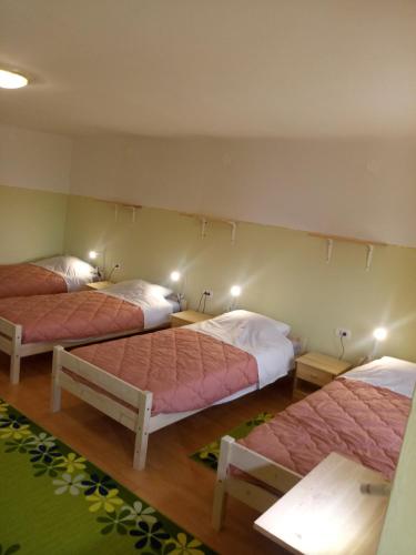 Mixed Dormitory Room