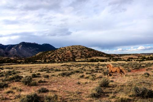 Wyoming High Country Lodge - image 2