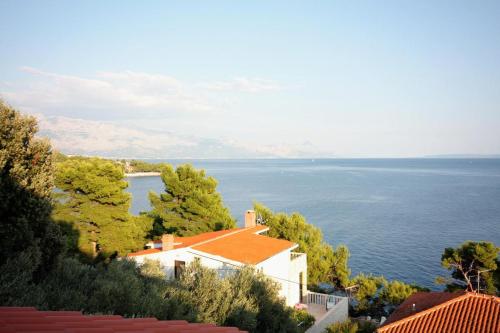 Apartments by the sea Puntinak Brac - 718 - image 11