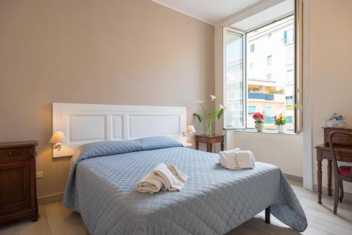 B&B Supportico Lopez - image 4