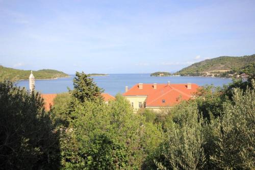 Apartments by the sea Vis - 2470 - image 5