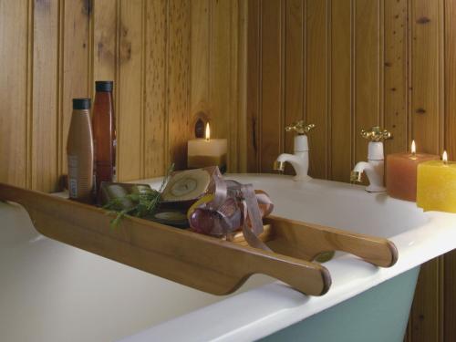 Forest Edge Forest Edge