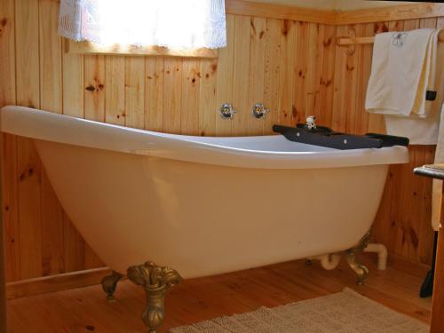 Forest Edge Forest Edge