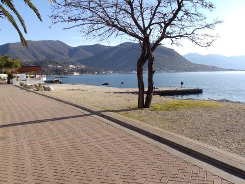 Monteview Loft Apartment Monteview Loft Apartment