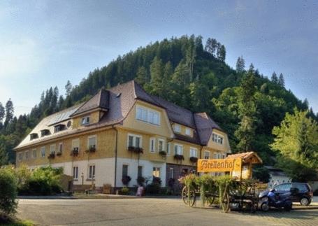 Hotel Teinachtal - Bad Teinach-Zavelstein