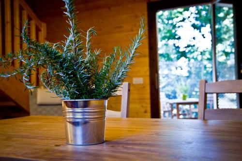 Apartamentos el Bosquet - image 7