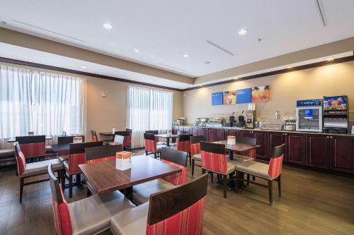 Comfort Inn & Suites Maingate South - image 2
