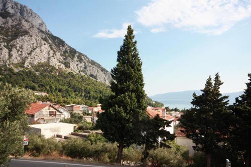 Apartments with a parking space Gradac Makarska - 5198 - image 11