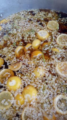  Erzsébet Vendégház - Csesznek in Csesznek