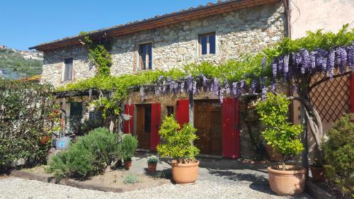 B&B Pieve a Nievole - La Corte del Falco - Bed and Breakfast Pieve a Nievole