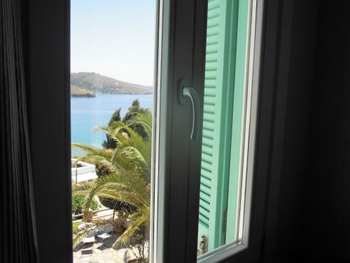 Blue Dolphin Room Type - Double Room