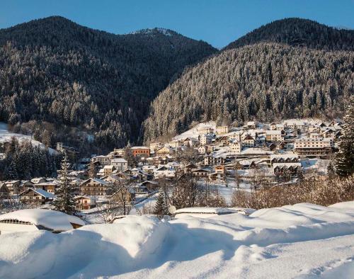 Albergo Diffuso Ravascletto