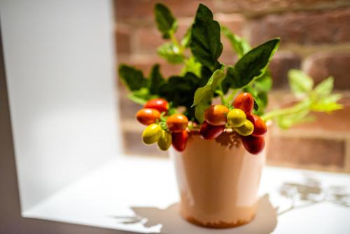 Villa Maria Pia - Boutique B&B & Breakfast Experience – Monopoli, LA
