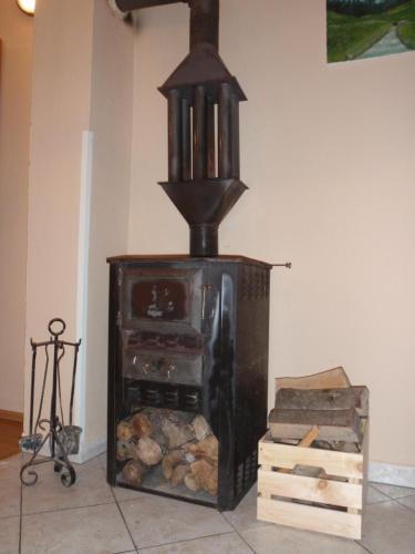  Family Apartment Green Hill in Fužine