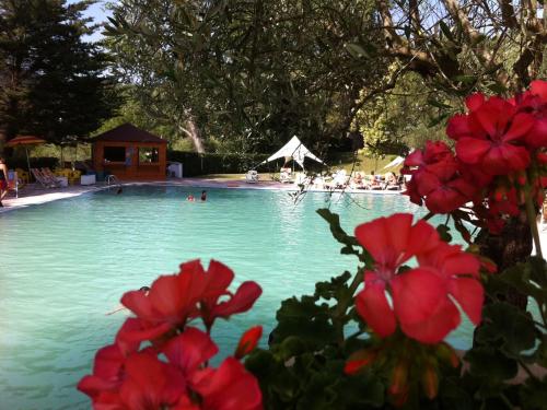Albergo Terme Forlenza - image 8