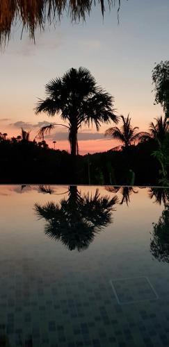 Surrounding environment, Jalyn's Resort in Palangan