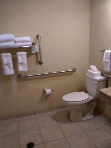 Cobblestone Inn & Suites - Marquette - image 4