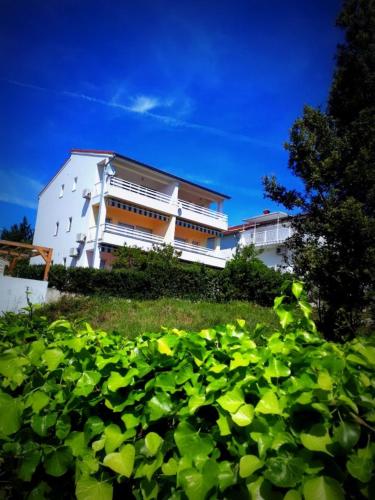  Apartman Vucak in Petrčane