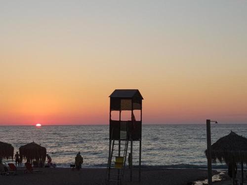  Butterfly in Kalamata