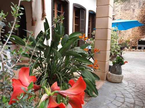 Hotel Segles - Turismo de Interior in Campos
