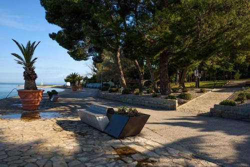 Surrounding environment