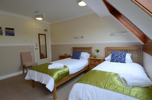 Neuadd Henllan Lodge 3