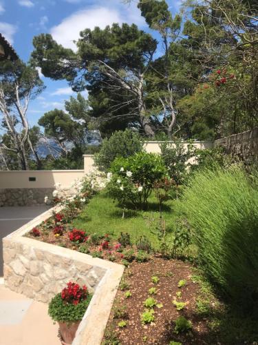 Villa Grim, Brela (fotografie 5)