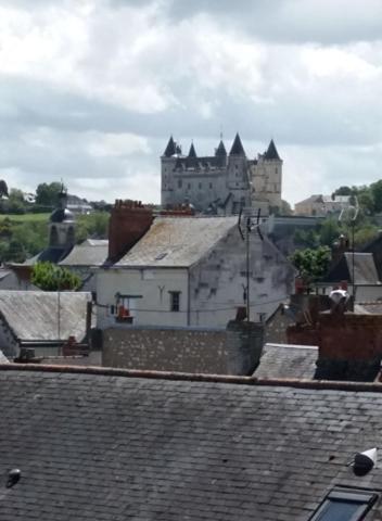 Appt 2eme etage sur l’ile de Saumur in Ile Offard
