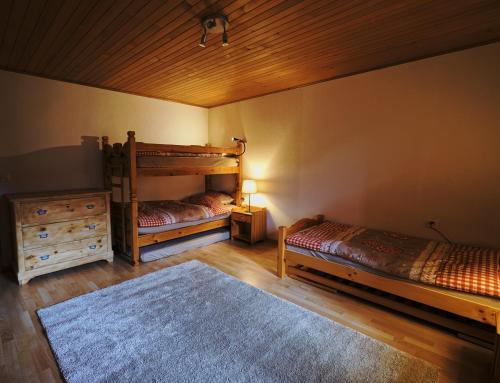 Chalet Floriana in Les Diablerets