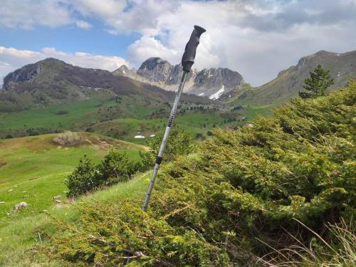 APARTMAN LALA - image 3