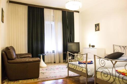 Apartments and rooms with WiFi Zagreb - 15219