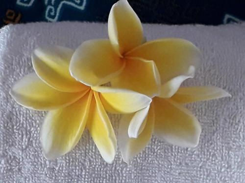 Agus Villa – Sanur, CO